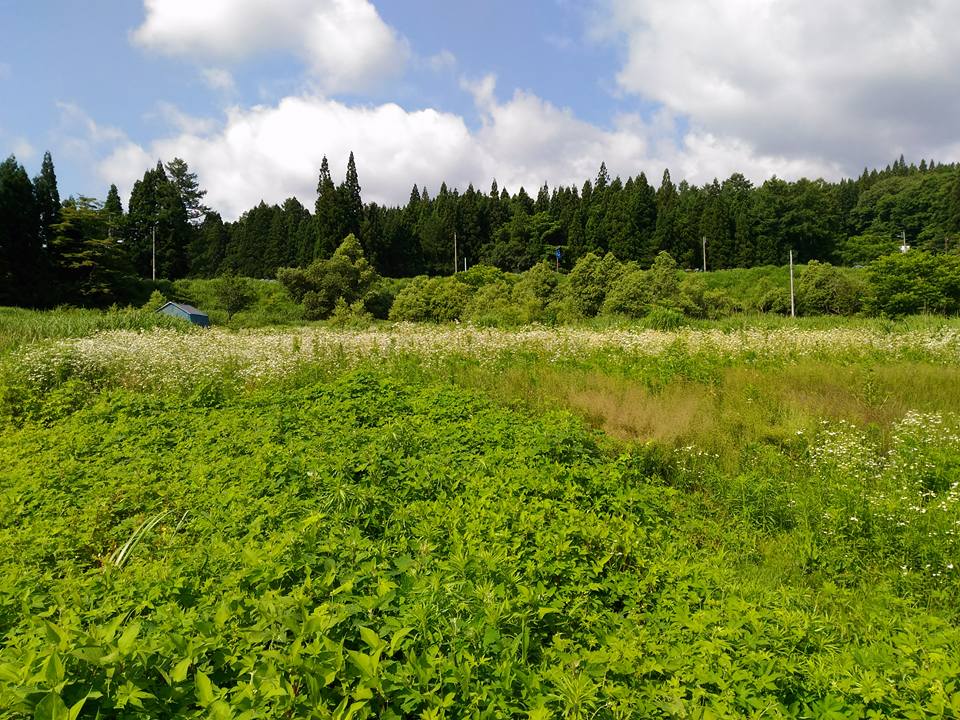 耕作放棄地のしごとのみらい農園