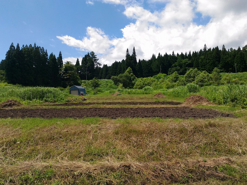 耕運したしごとのみらい農園